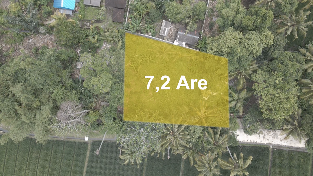 7.2 Ara Land in Kedungu, Bali, photo 2
